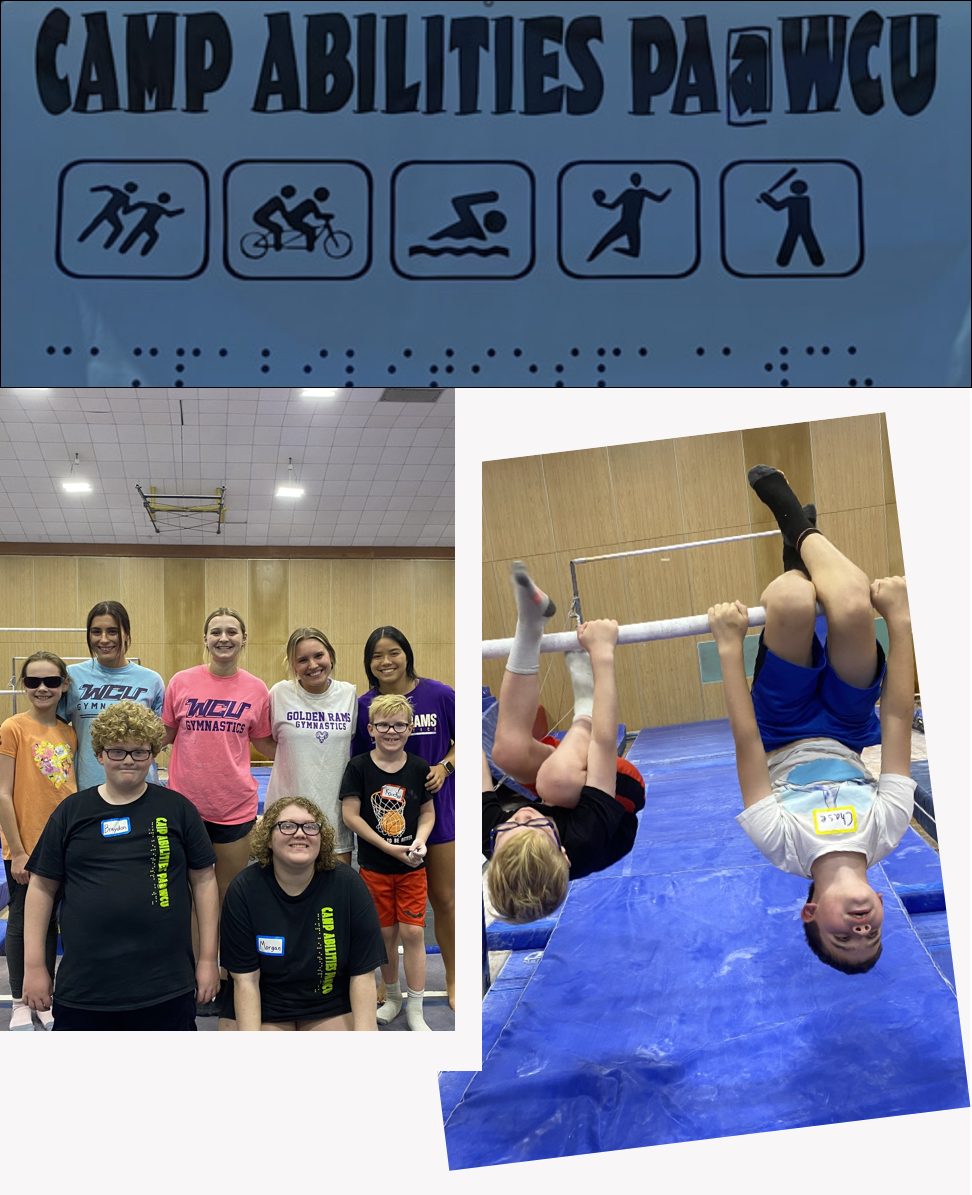 pro bono work for camp abilities